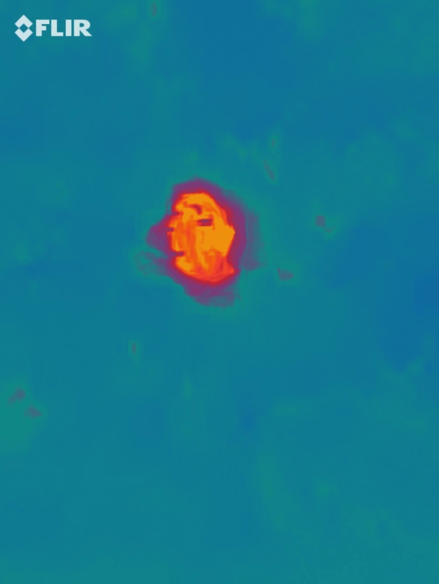 Zobrazení srnčete z obr. 6 na monitoru zařízení VMT-VUZT v paletě „láva“